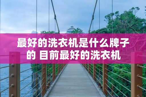 最好的洗衣机是什么牌子的 目前最好的洗衣机