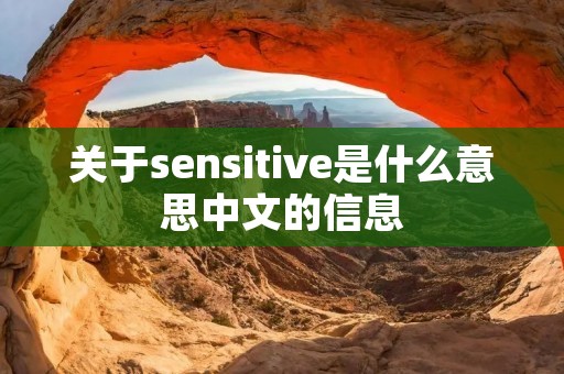 关于sensitive是什么意思中文的信息