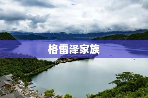 格雷泽家族：王国的旗帜