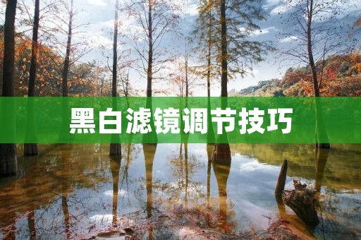 黑白滤镜调节技巧:打造独特的黑白摄影风格