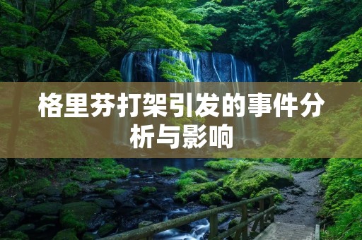 格里芬打架引发的事件分析与影响