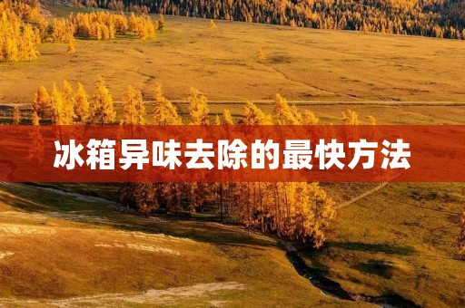 冰箱异味去除的最快方法 冰箱异味去除的最快方法