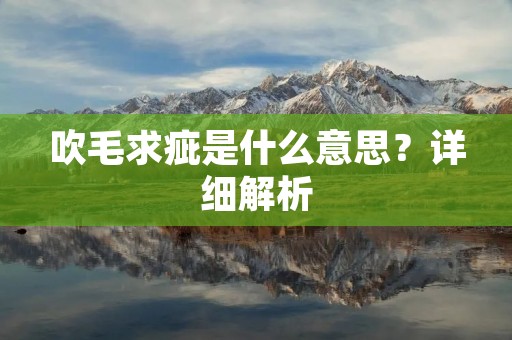 吹毛求疵是什么意思?详细解析