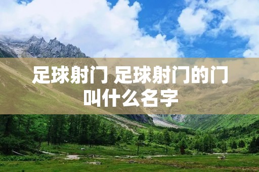 足球射门 足球射门的门叫什么名字