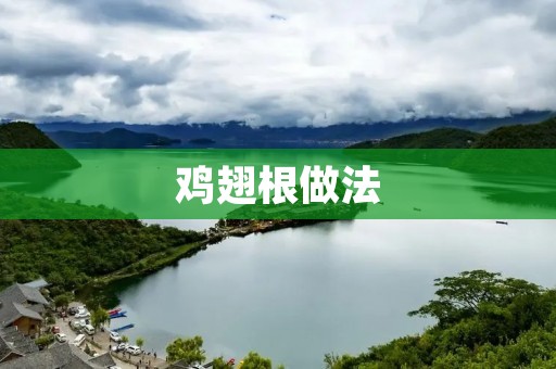 鸡翅根做法:美味可口的家常佳肴 鸡翅根做法:美味可口的家常佳肴