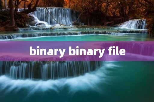binary binary file