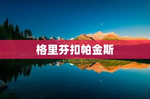 格里芬扣帕金斯：一场惊艳的对决