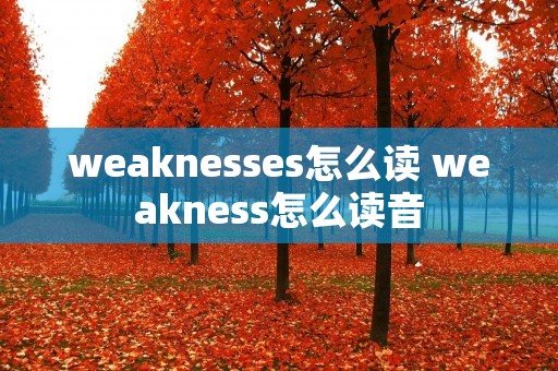 weaknesses怎么读 weakness怎么读音
