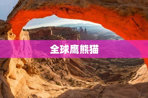 全球鹰熊猫:守护自然的使者
