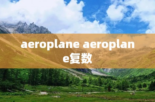 aeroplane aeroplane复数