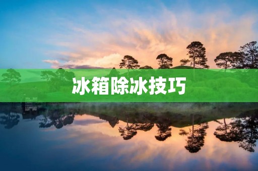 冰箱除冰技巧：快速解决结冰问题