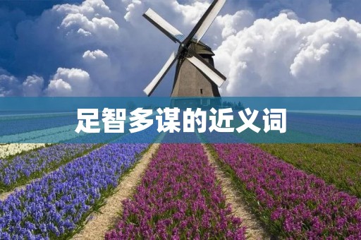 足智多谋的近义词：智勇双全