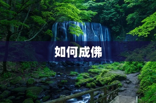 如何成佛:修行的道路与方法