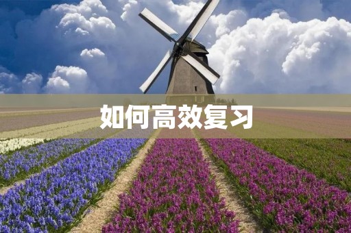 如何高效复习:掌握有效的学习方法与技巧