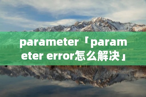 parameter「parameter error怎么解决」