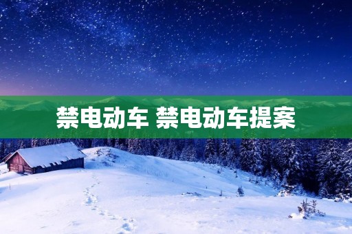禁电动车 禁电动车提案 禁电动车 禁电动车提案