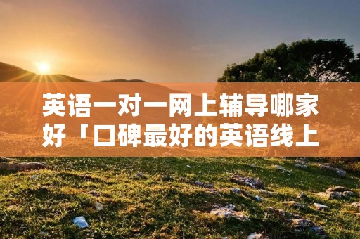 英语一对一网上辅导哪家好「口碑最好的英语线上培训机构」 英语一对一网上辅导哪家好「口碑最好的英语线上培训机构」