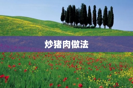 炒猪肉做法:美味炒猪肉的口感与做法技巧 炒猪肉做法:美味炒猪肉的口感与做法技巧