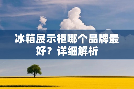 冰箱展示柜哪个品牌最好？详细解析