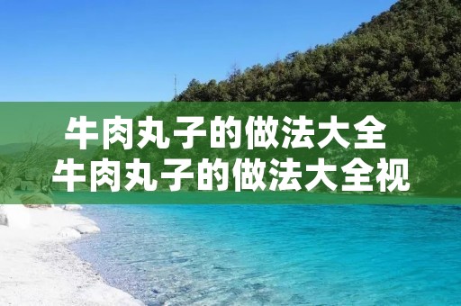 牛肉丸子的做法大全 牛肉丸子的做法大全视频