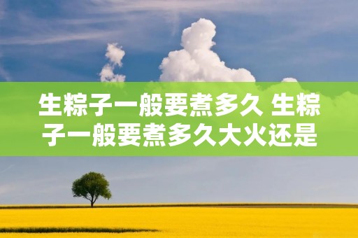 生粽子一般要煮多久 生粽子一般要煮多久大火还是小火