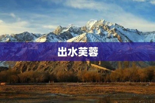 出水芙蓉:一朵绽放的美丽