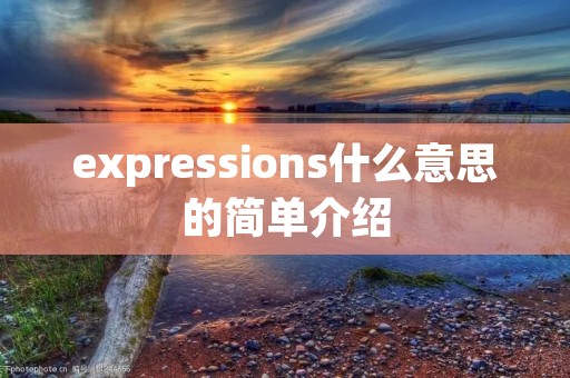 expressions什么意思的简单介绍