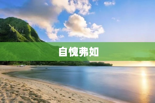 自愧弗如:追求卓越的人生旅程