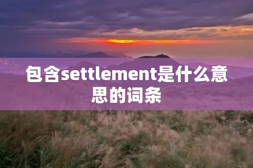 包含settlement是什么意思的词条