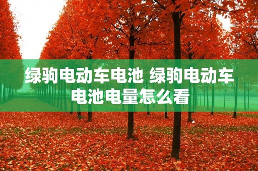 绿驹电动车电池 绿驹电动车电池电量怎么看