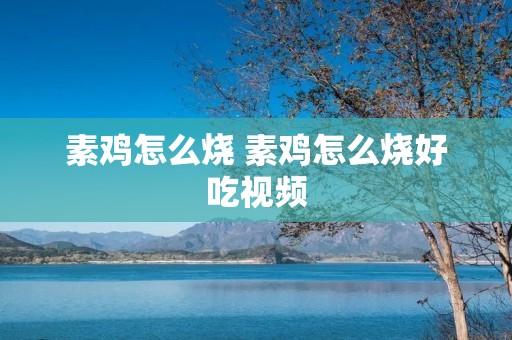 素鸡怎么烧 素鸡怎么烧好吃视频