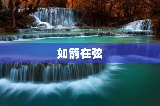 如箭在弦:速度与决断的完美结合 如箭在弦:速度与决断的完美结合