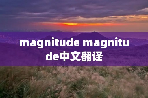 magnitude magnitude中文翻译