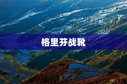 格里芬战靴：力量与速度的完美结合