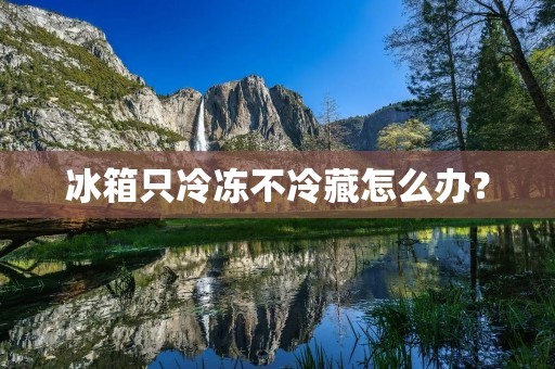 冰箱只冷冻不冷藏怎么办？