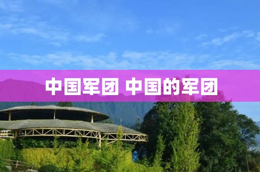 中国军团 中国的军团