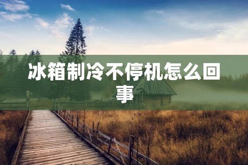 冰箱制冷不停机怎么回事