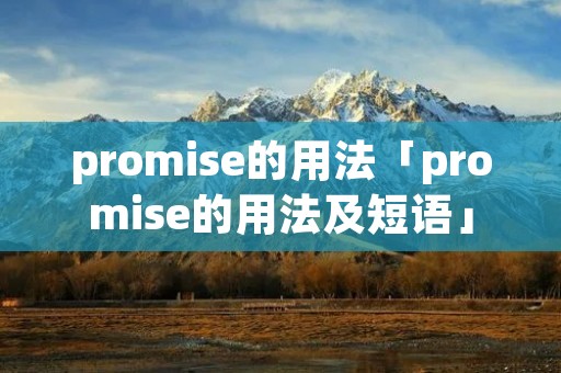 promise的用法「promise的用法及短语」
