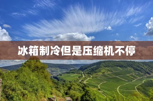 冰箱制冷但是压缩机不停:原因与解决方法 冰箱制冷但是压缩机不停:原因与解决方法