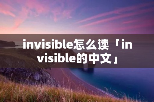 invisible怎么读「invisible的中文」