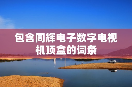 包含同辉电子数字电视机顶盒的词条