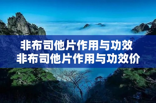 非布司他片作用与功效 非布司他片作用与功效价格