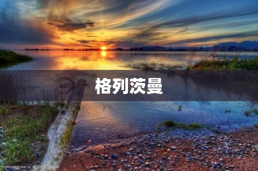 格列茨曼:足球史上的传奇 格列茨曼:足球史上的传奇