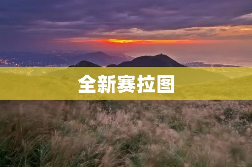 全新赛拉图：高性能豪华轿车的新选择