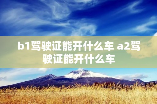 b1驾驶证能开什么车 a2驾驶证能开什么车
