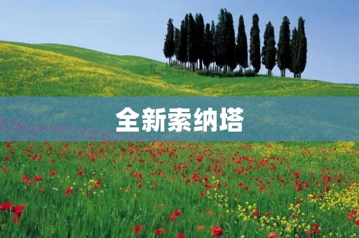 全新索纳塔：豪华品质与卓越性能的完美结合