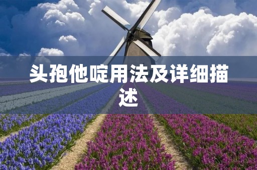 头孢他啶用法及详细描述