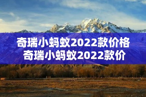 奇瑞小蚂蚁2022款价格 奇瑞小蚂蚁2022款价格图片内饰