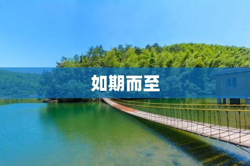 如期而至:追求成功的必然路径