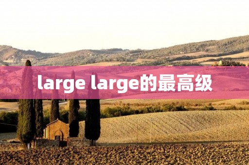 large large的最高级 large large的最高级
